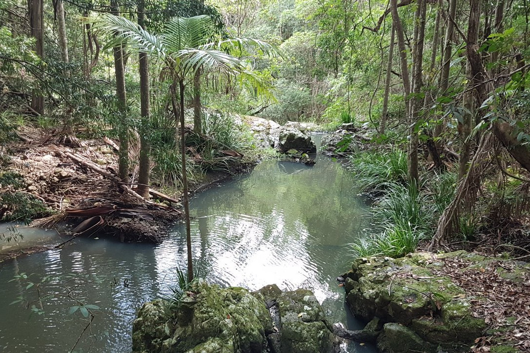 Kondalilla National Park景点图片