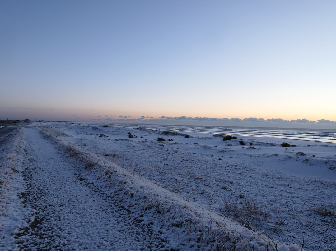 Hasunuma Ocean Park-山武市必去景点