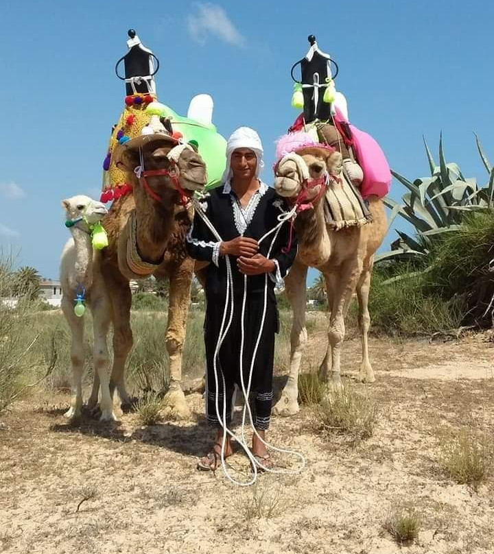 Ranch Le Pacha景点图片