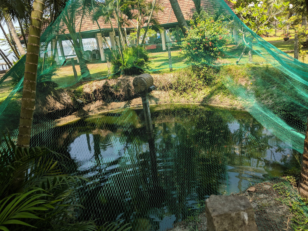 Kallanchery Retreat主图