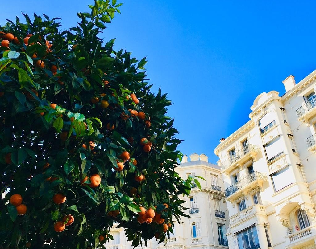 L'Orangerie-拉孔达米讷必去景点