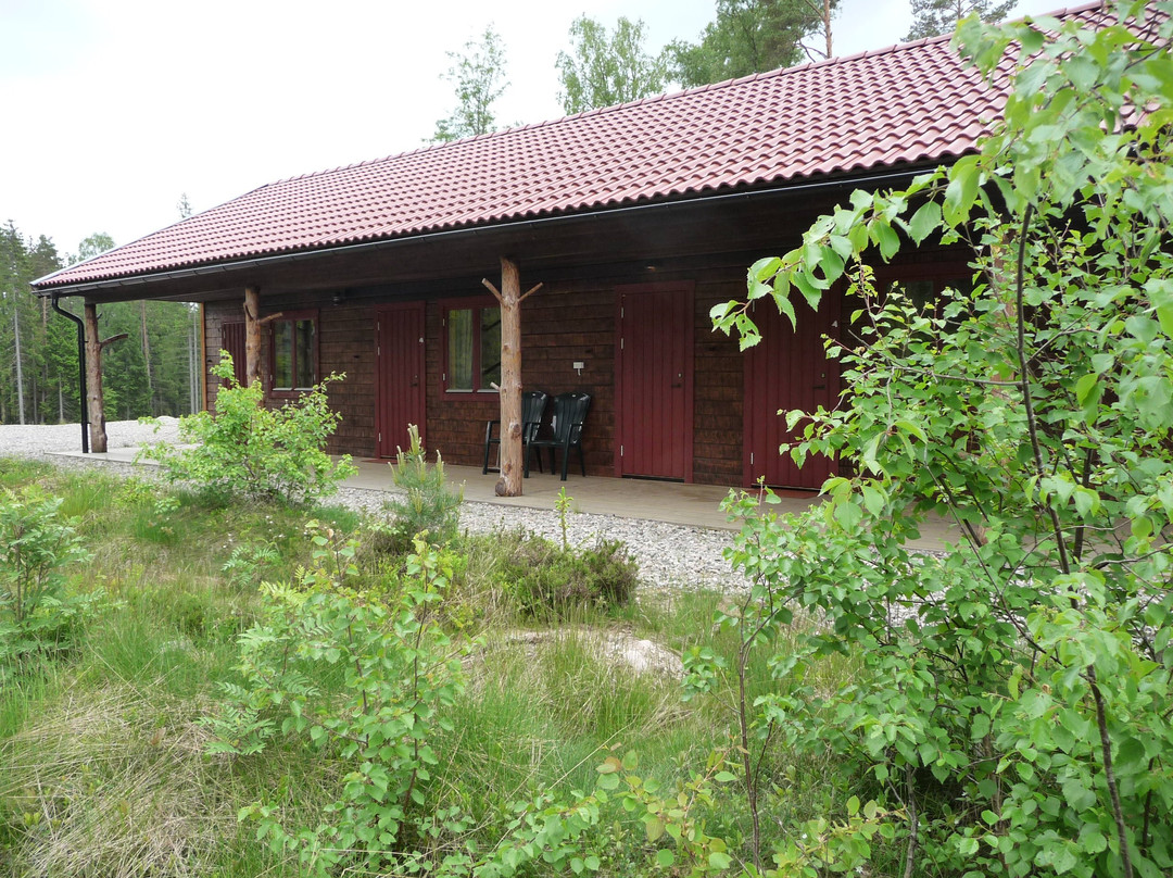 KynnefjällsNatur