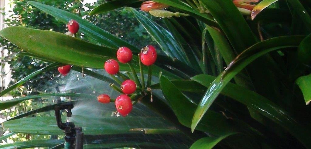 Be My Guest Lodge主图