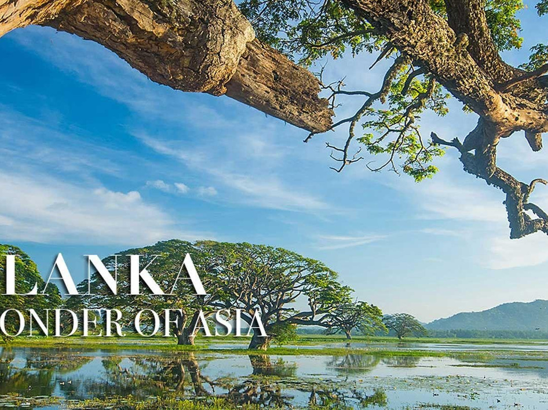 Wanderlust Ceylon Tours-康提必去景点