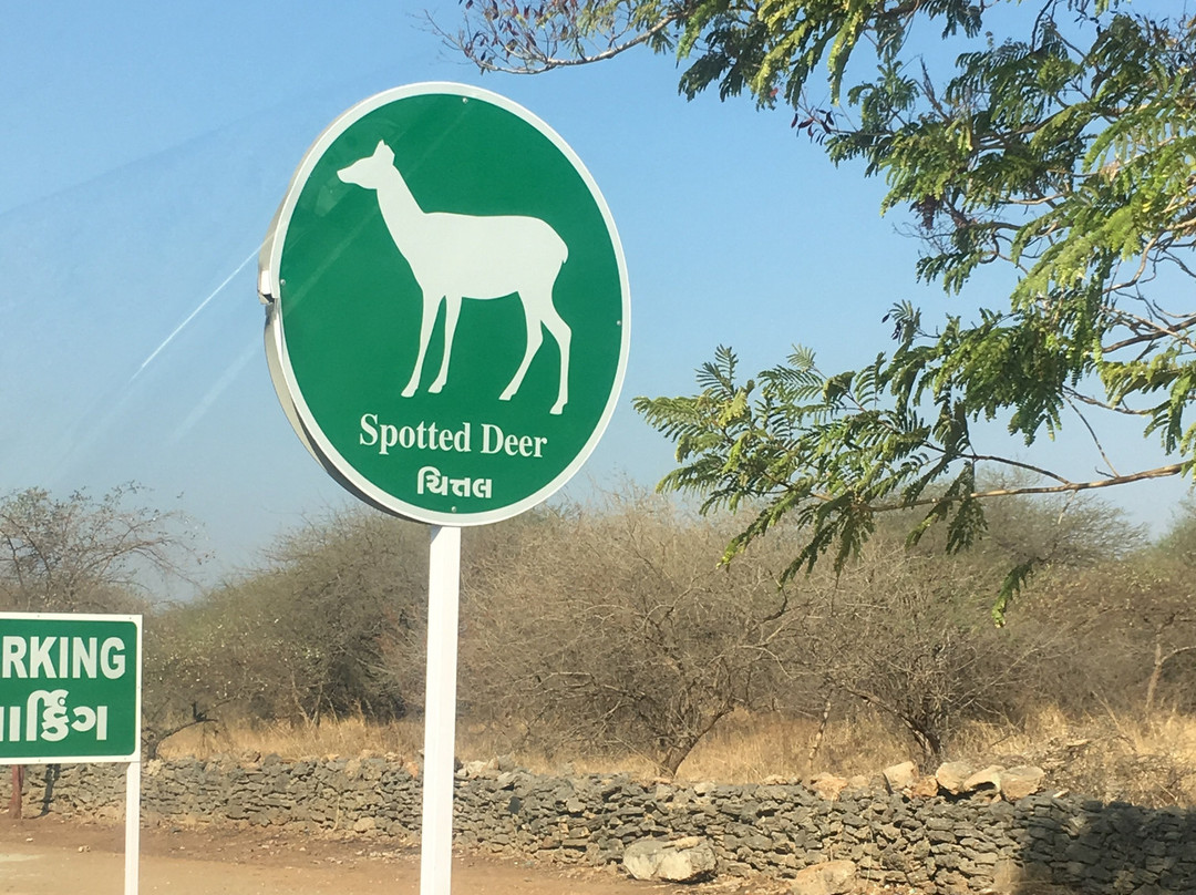 We Love Gir Resort主图