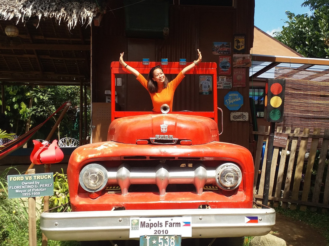 Mapols Farm-Pototan必去景点