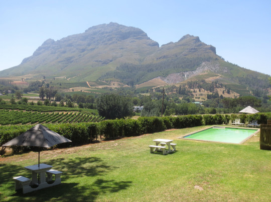 Wine Tours Cape Town