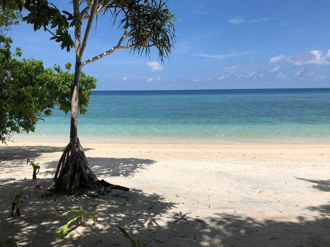 Selayar Dive Resort主图