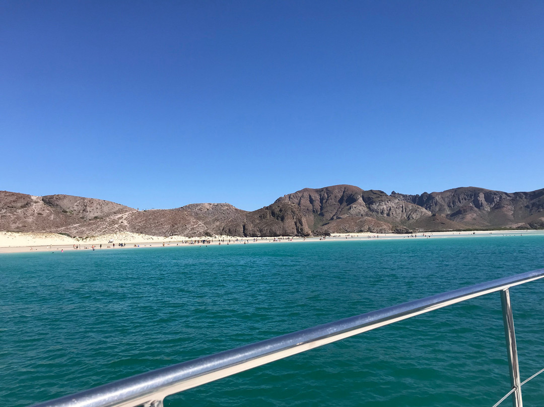 Sea of Cortez Adventures-拉巴斯必去景点
