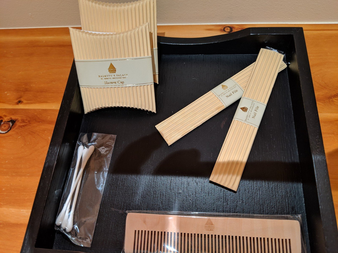Palace Wellness景点图片