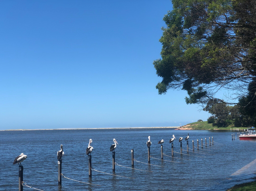 Mallacoota Coastal Walks-Mallacoota必去景点