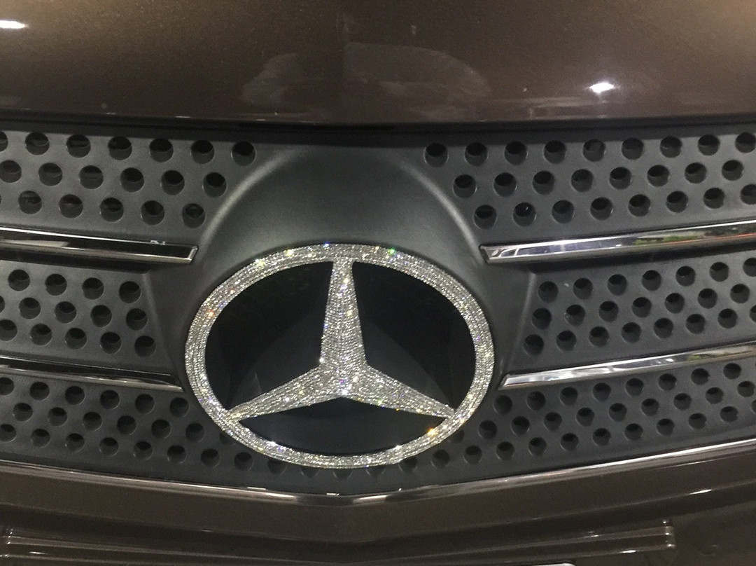Dragon Tours and Limousines景点图片