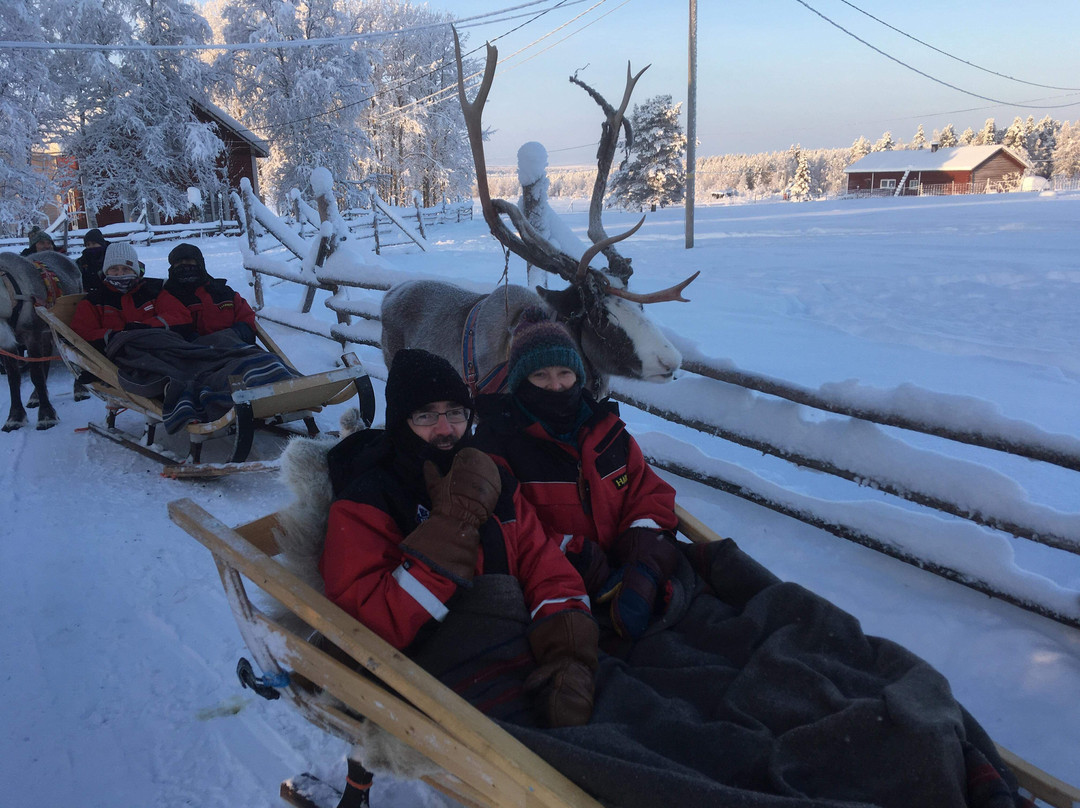 Torassieppi Reindeer Farm & Cottages-Muonio必去景点