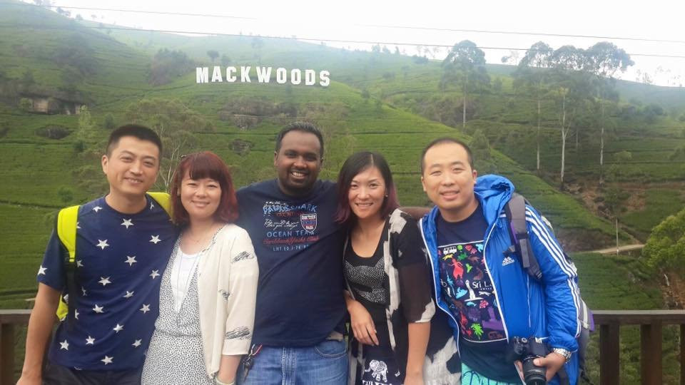Macwood Tea Factory景点图片