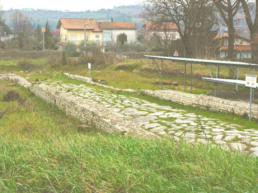 Parco Archeologico di Forum Sempronii景点图片