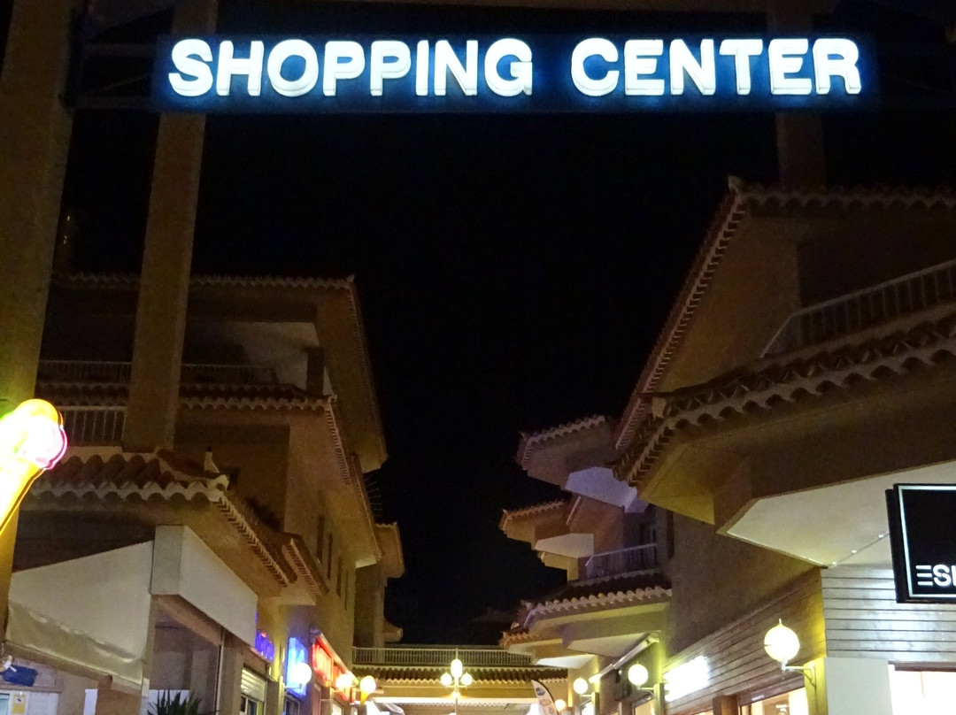 Vista Sur Shoping Center-美洲海滩必去景点