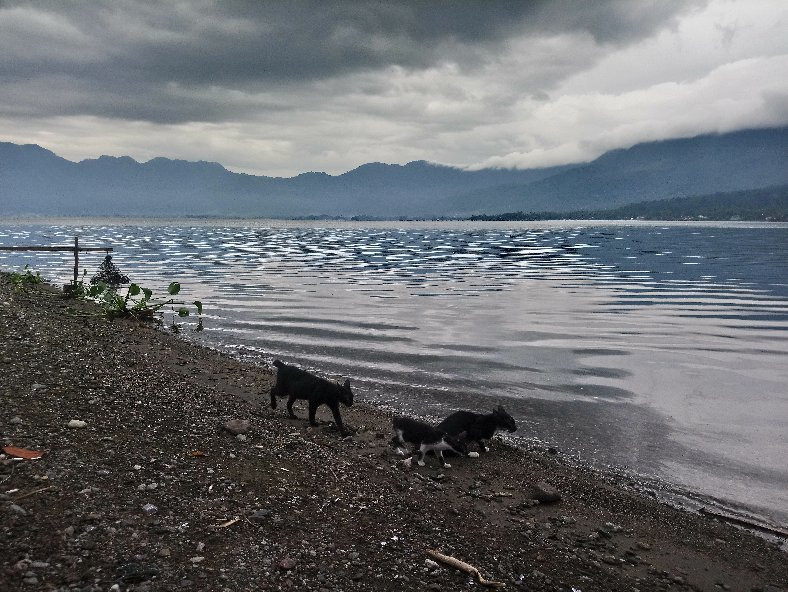 Lake Maninjau景点图片