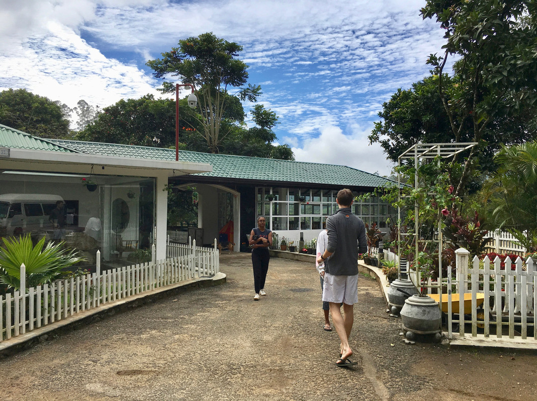 Green Hills Holiday主图