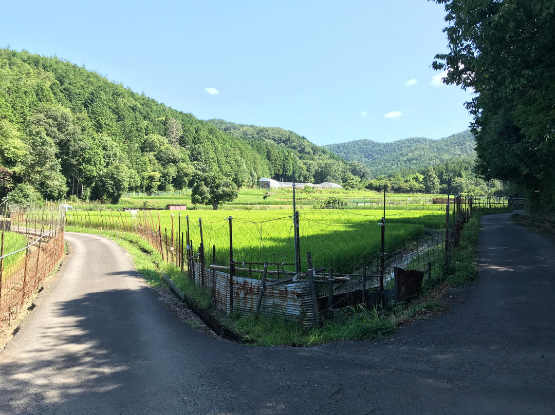 KYOTO NATURE TOURS-京都市必去景点