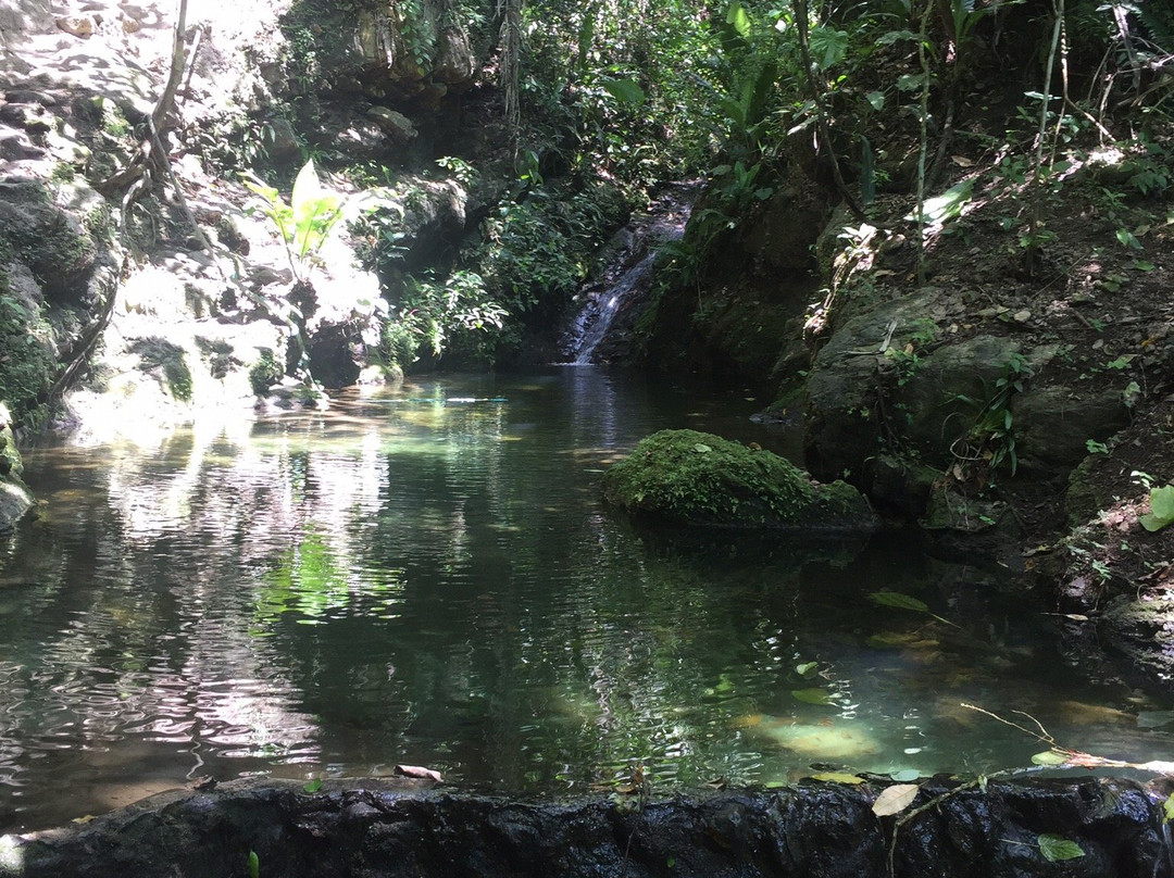 Cascadas de Alex景点图片