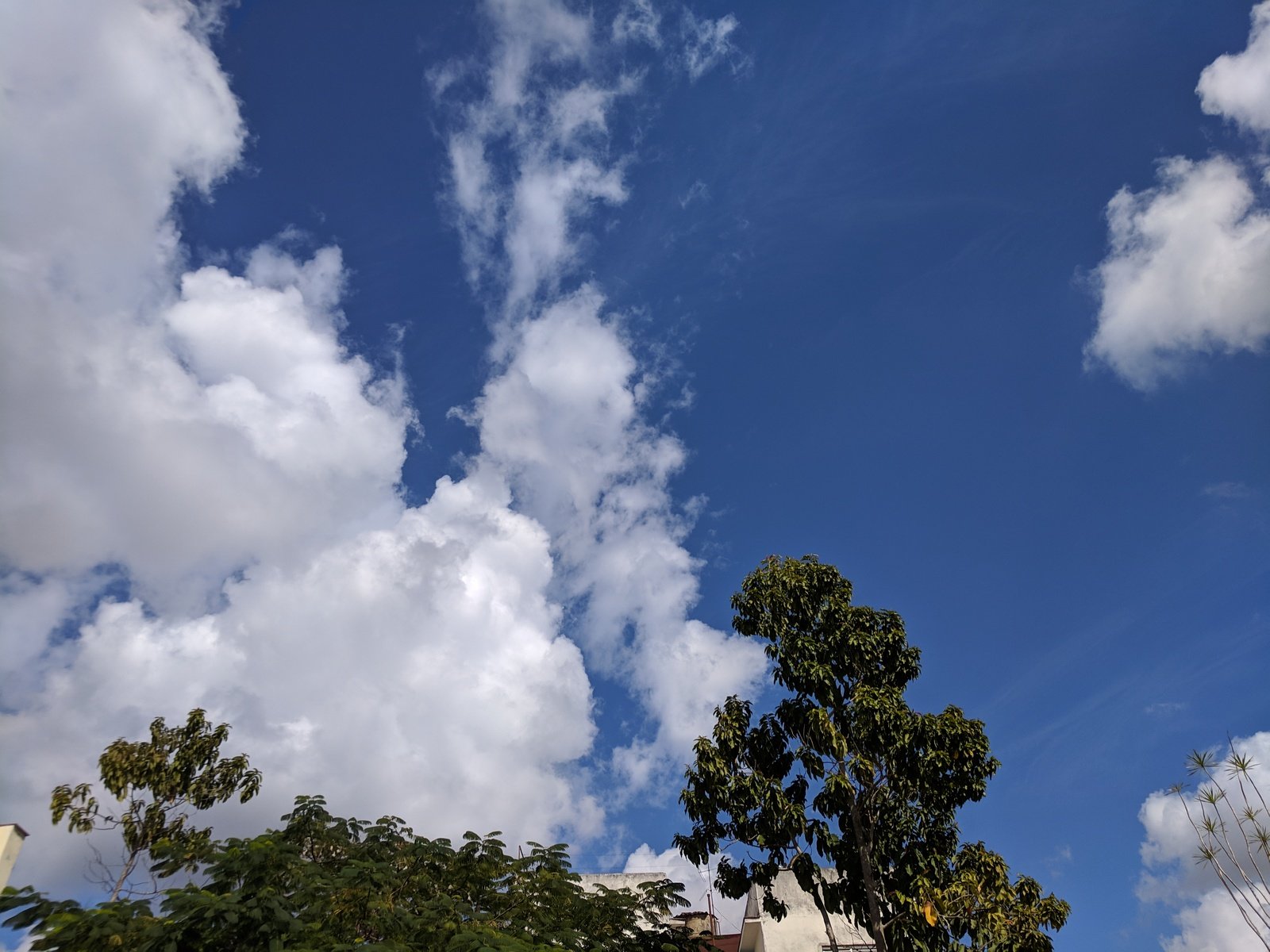 Casa Angela y Luis-官方