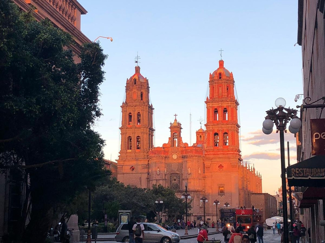 Cathedral of San Luis Potosí景点图片