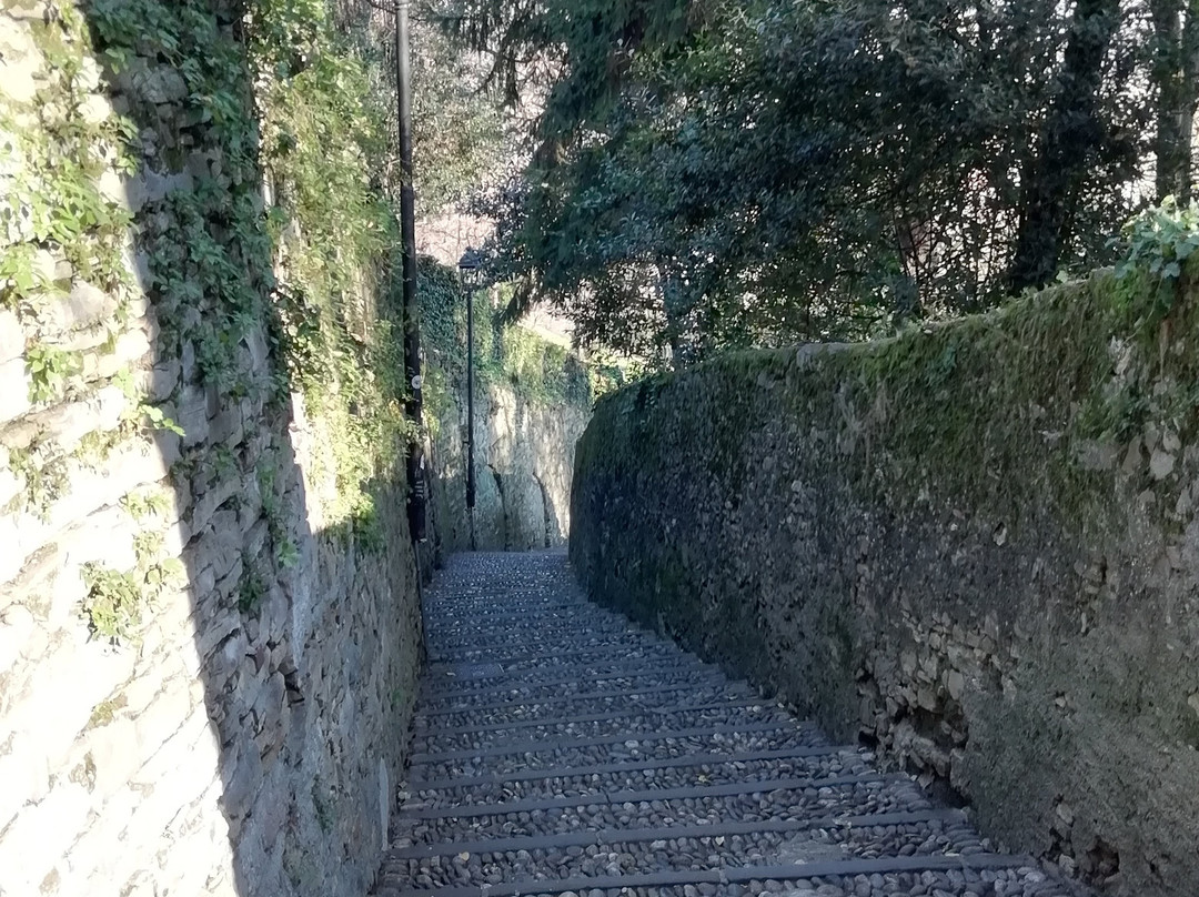 Mura Venete景点图片