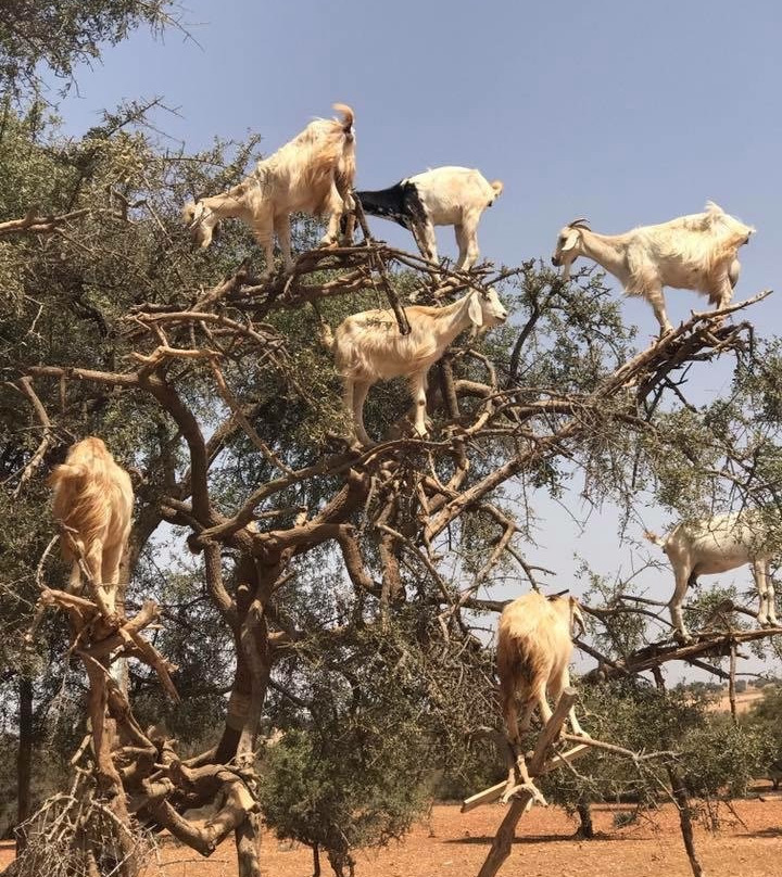 L'Air De La Mer主图