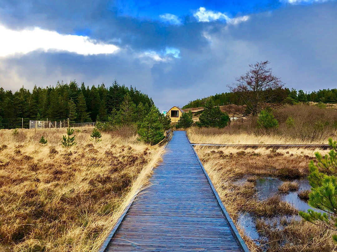 Aline Community Woodland Walks景点图片