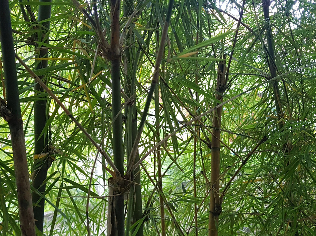 Wisdom Boutique Resort主图