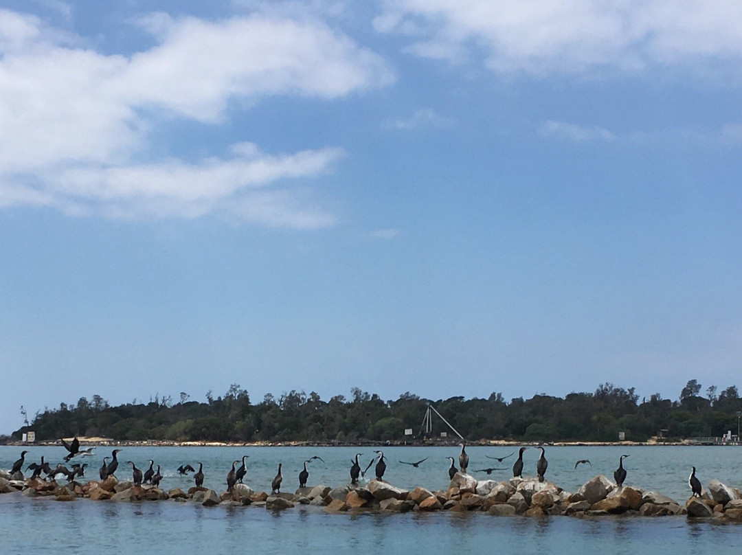 Rigbys Island景点图片