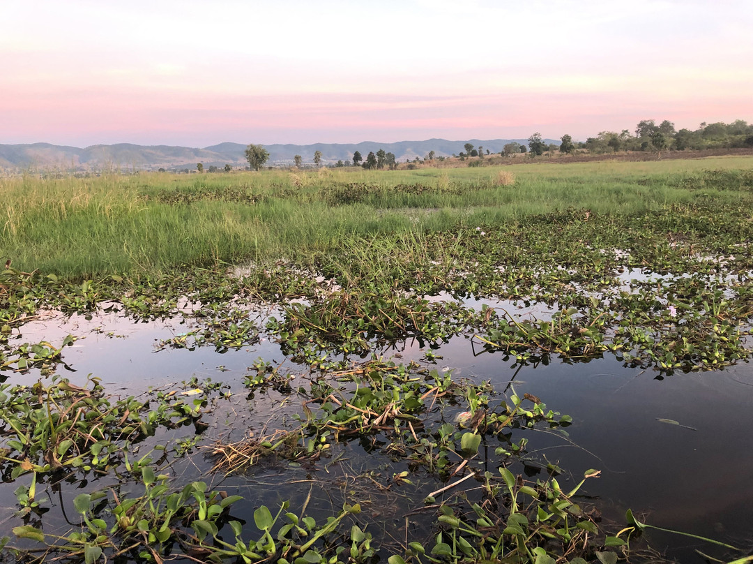 The Inle Sanctuary Phayartaung主图