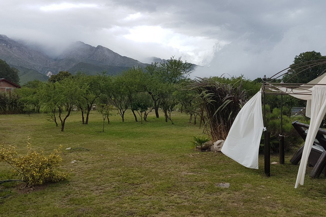 Senderos del Tao主图