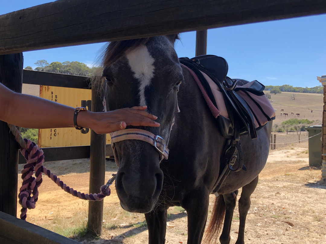 Tiger Trails-袋鼠岛必去景点
