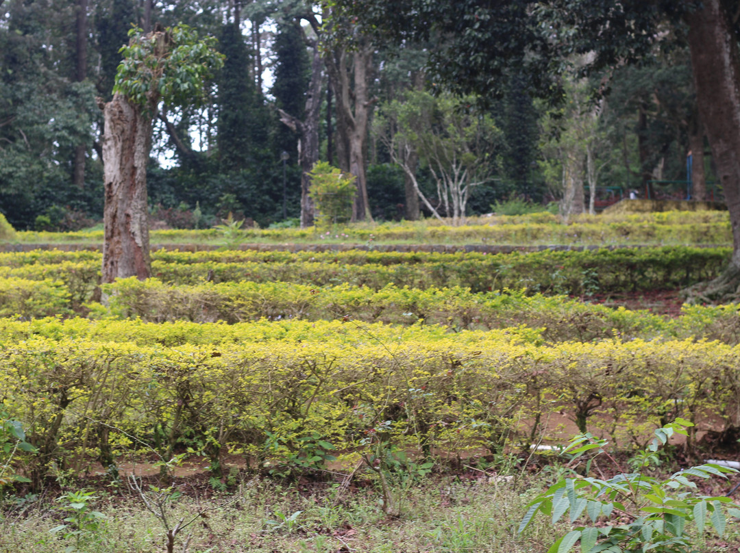 Rose Garden-亚尔考德必去景点
