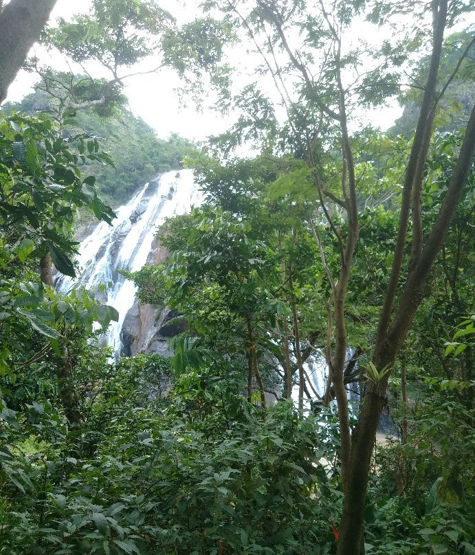 Parque Estadual Cachoeira da Fumaca景点图片