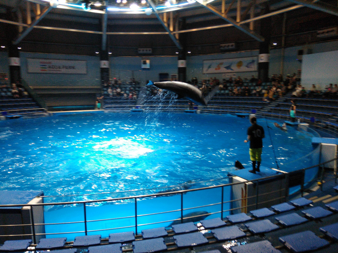 Aqua Park 品川水族馆景点图片