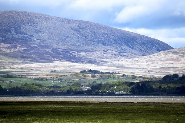 Cherrytrees Bed and Breakfast主图