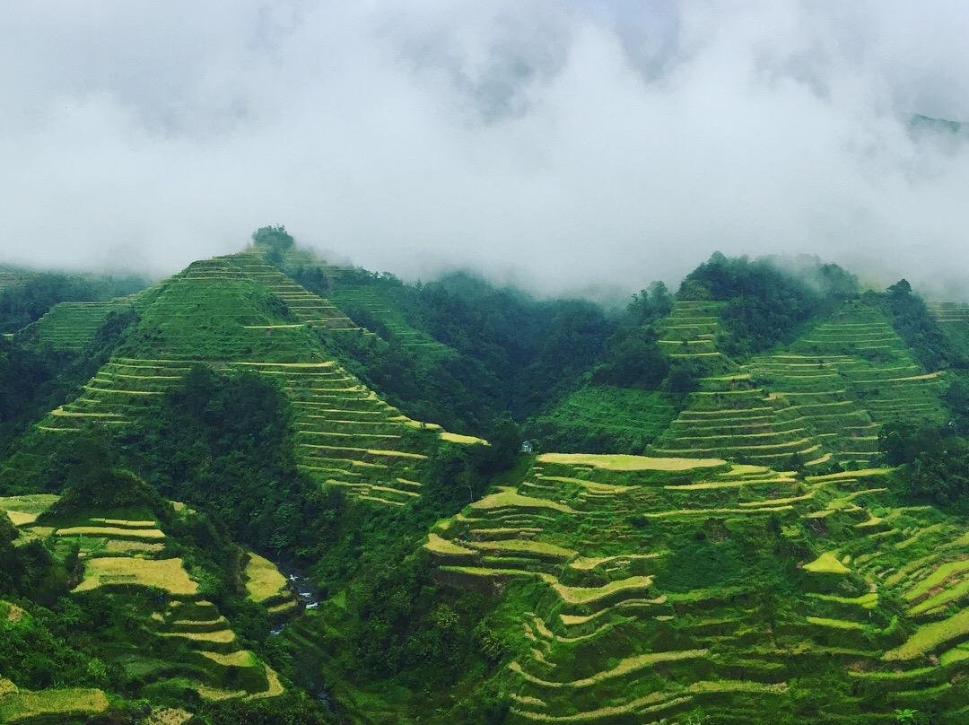 BanaueTours Specialist景点图片