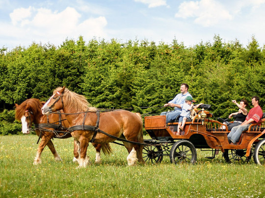 Pferdefuhrhalterei Winterberg-Winterberg必去景点