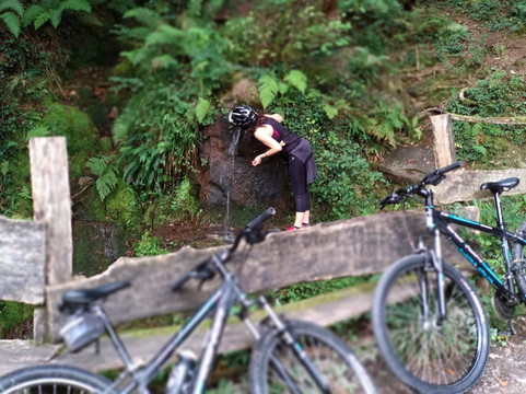 Leitzaran Bisitarien Etxea-Andoain必去景点