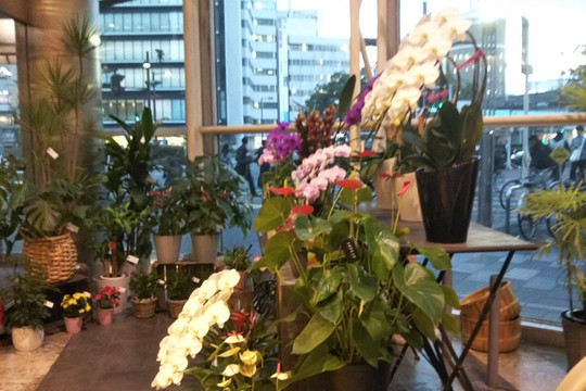 Star Island-四日市市必去景点