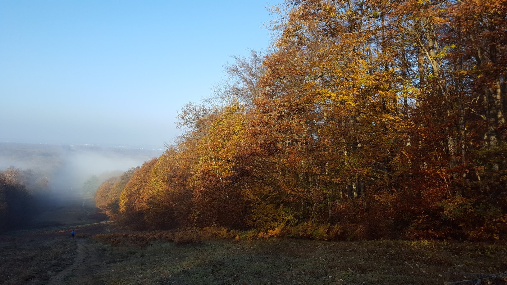 Les Beaux Monts-官方
