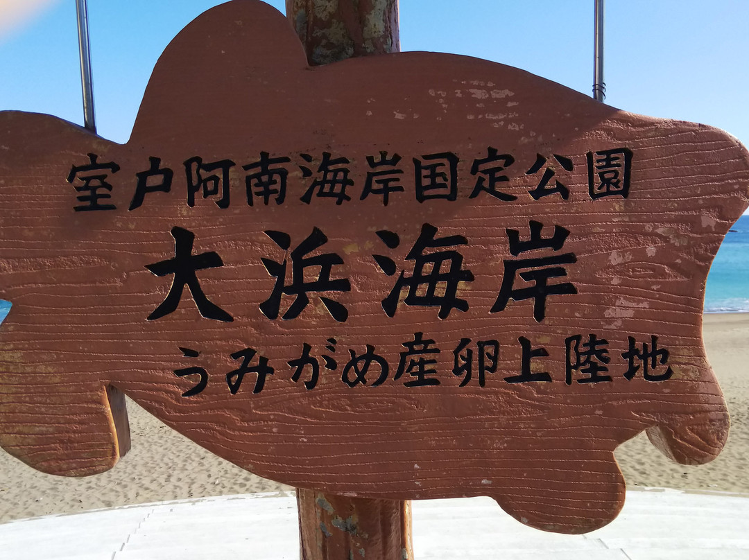 Ohama Coast-美波町必去景点