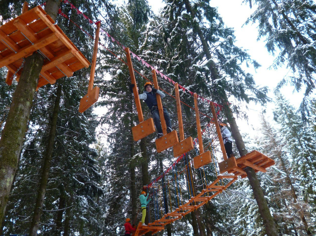 Rope Park Gammy景点图片
