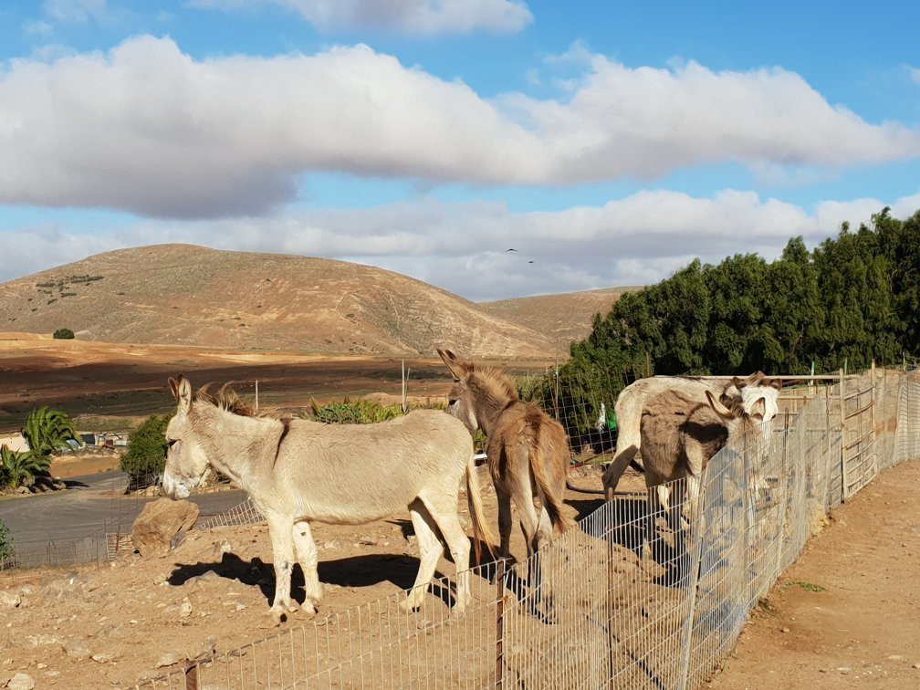 Finca Pepe景点图片