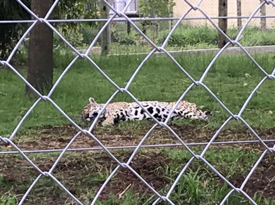 Bioparque Washington Rodriguez Piquinela-Durazno必去景点