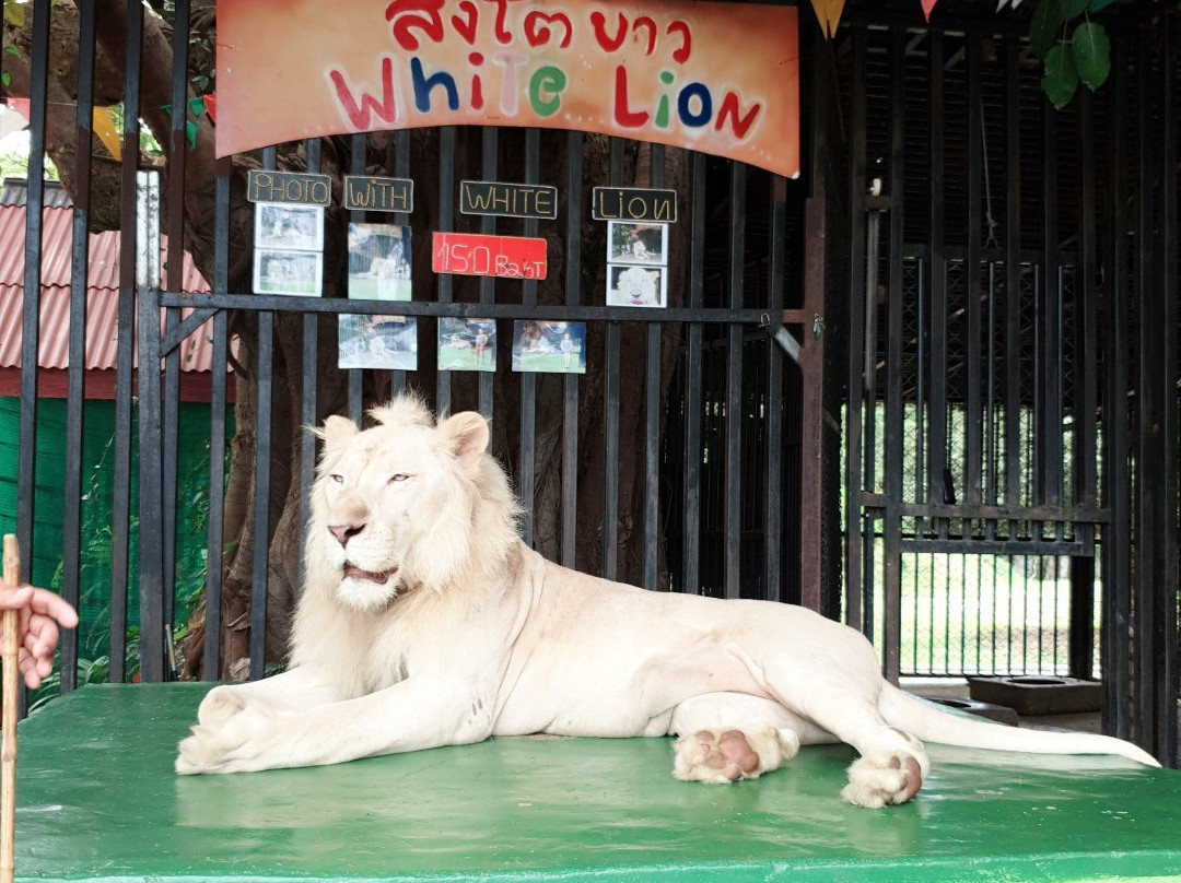 Hua Hin Zoo景点图片