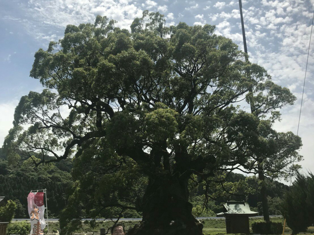 Kawagono Okusu-武雄市必去景点