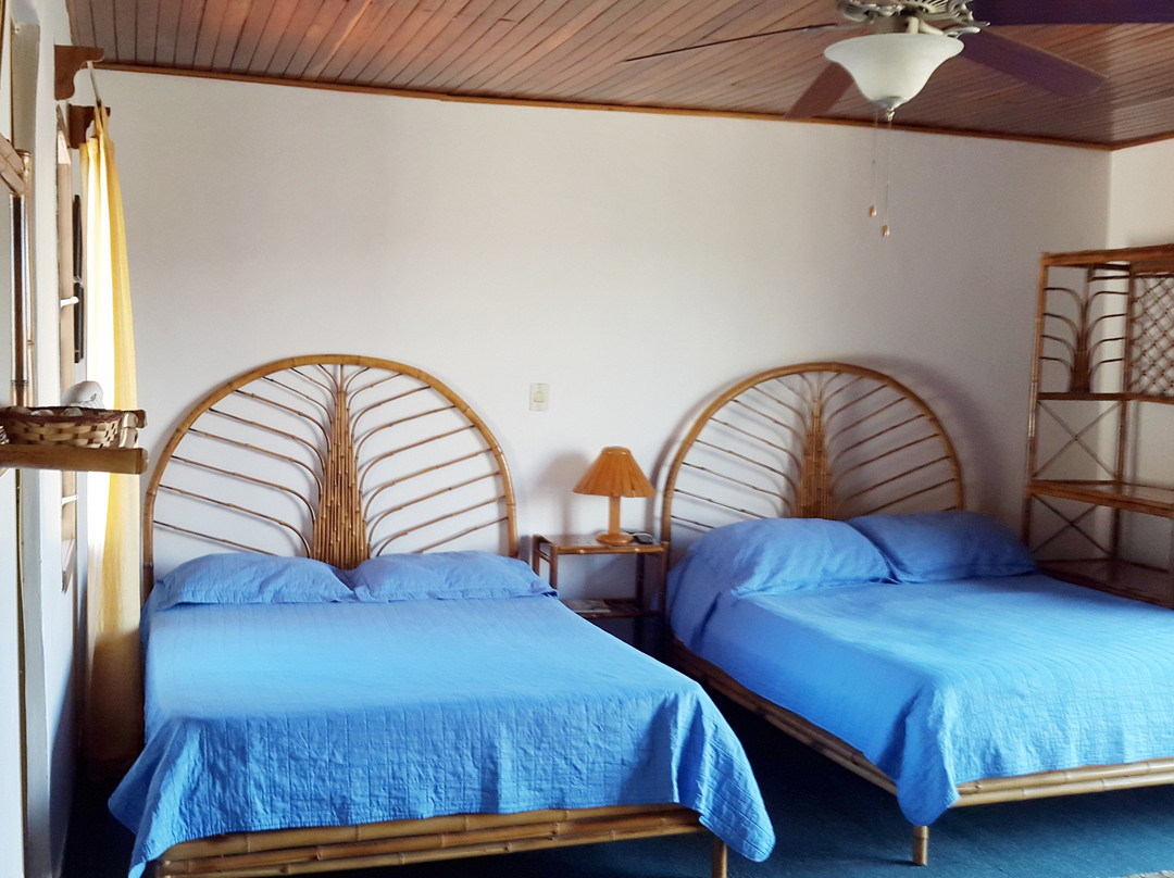 Vida Tropical B and B主图